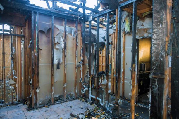 Professional Fire Damage Assessment technician working in Cridersville, OH